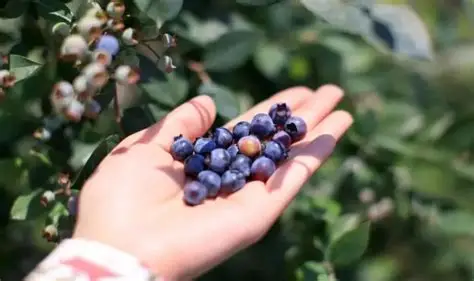 美剧网-旅行攻略