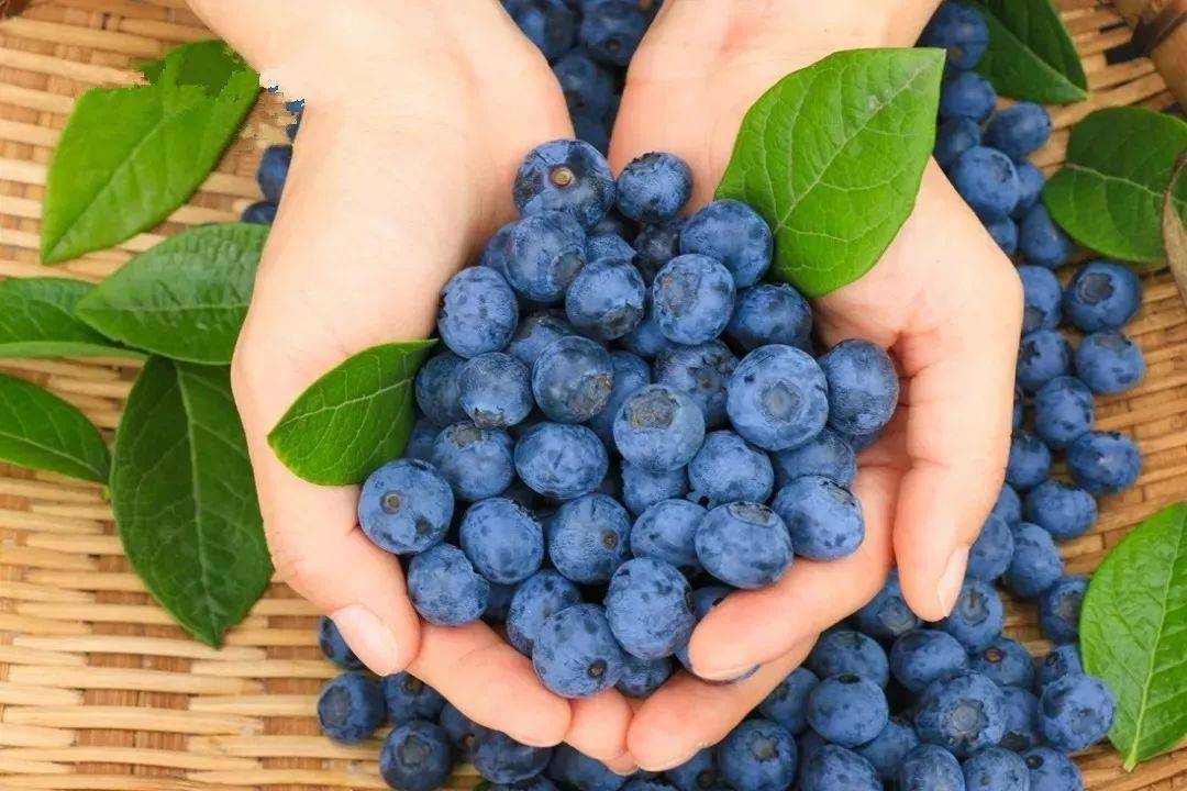 美剧网-文化故事